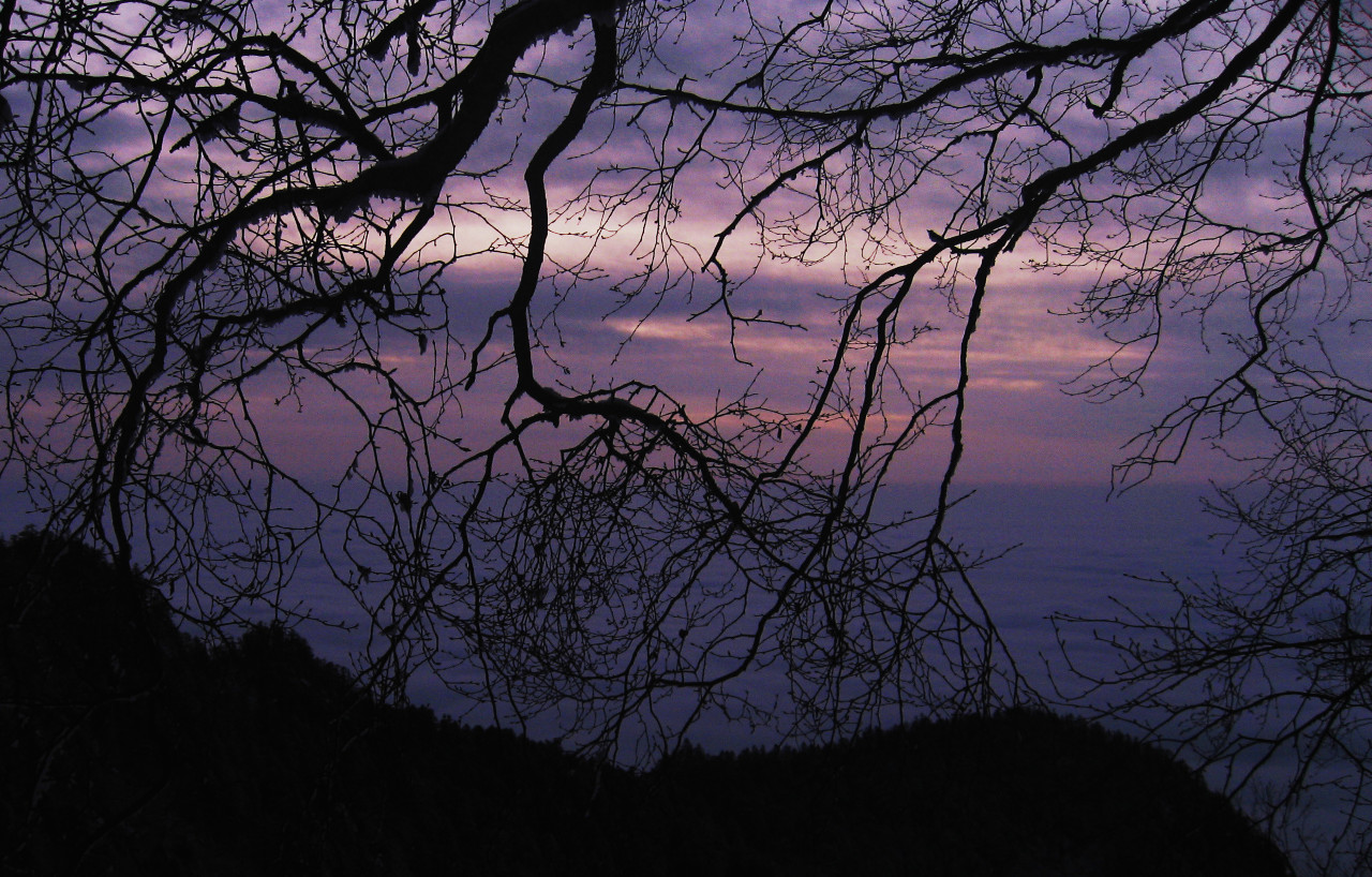 2009-01-20 22:20:4820090101太白山之行—完结篇