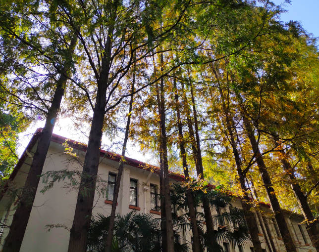 20181125毕业答辩