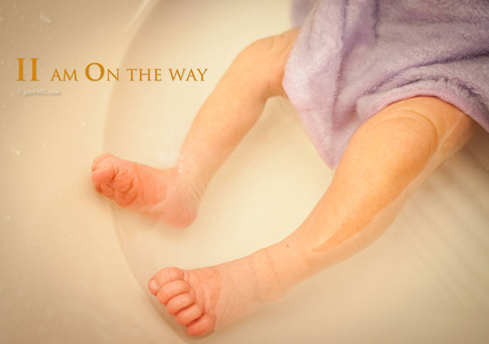 20141115二小姐来啦