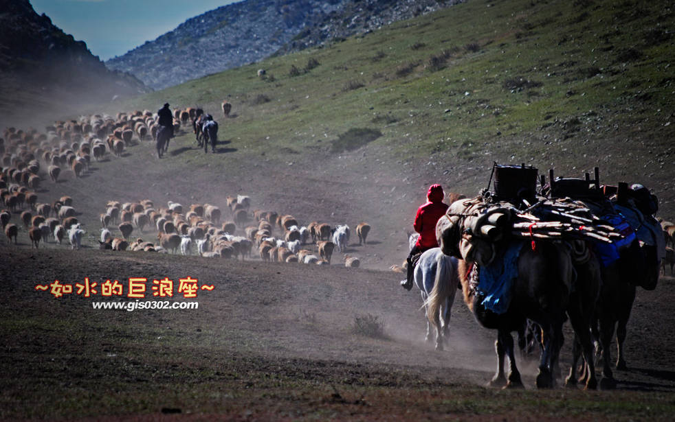 牧民转场—2012金秋北疆班车行之二
