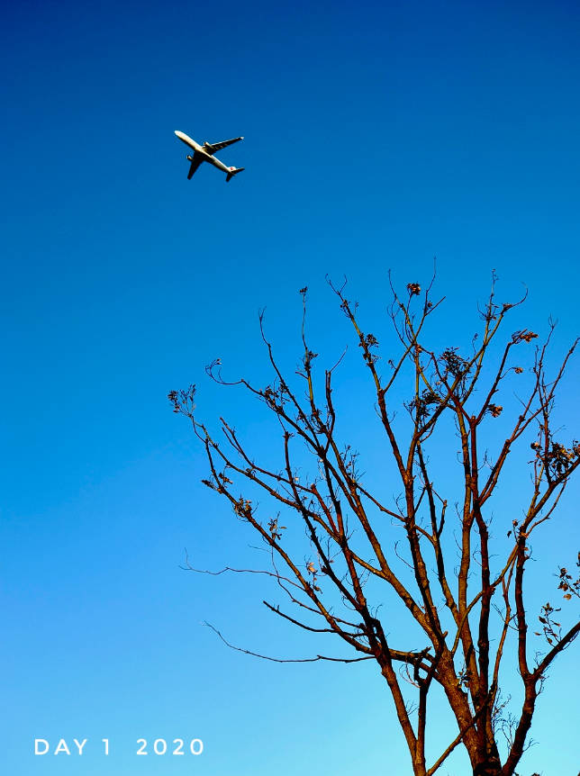 2020第一篇，登高望远