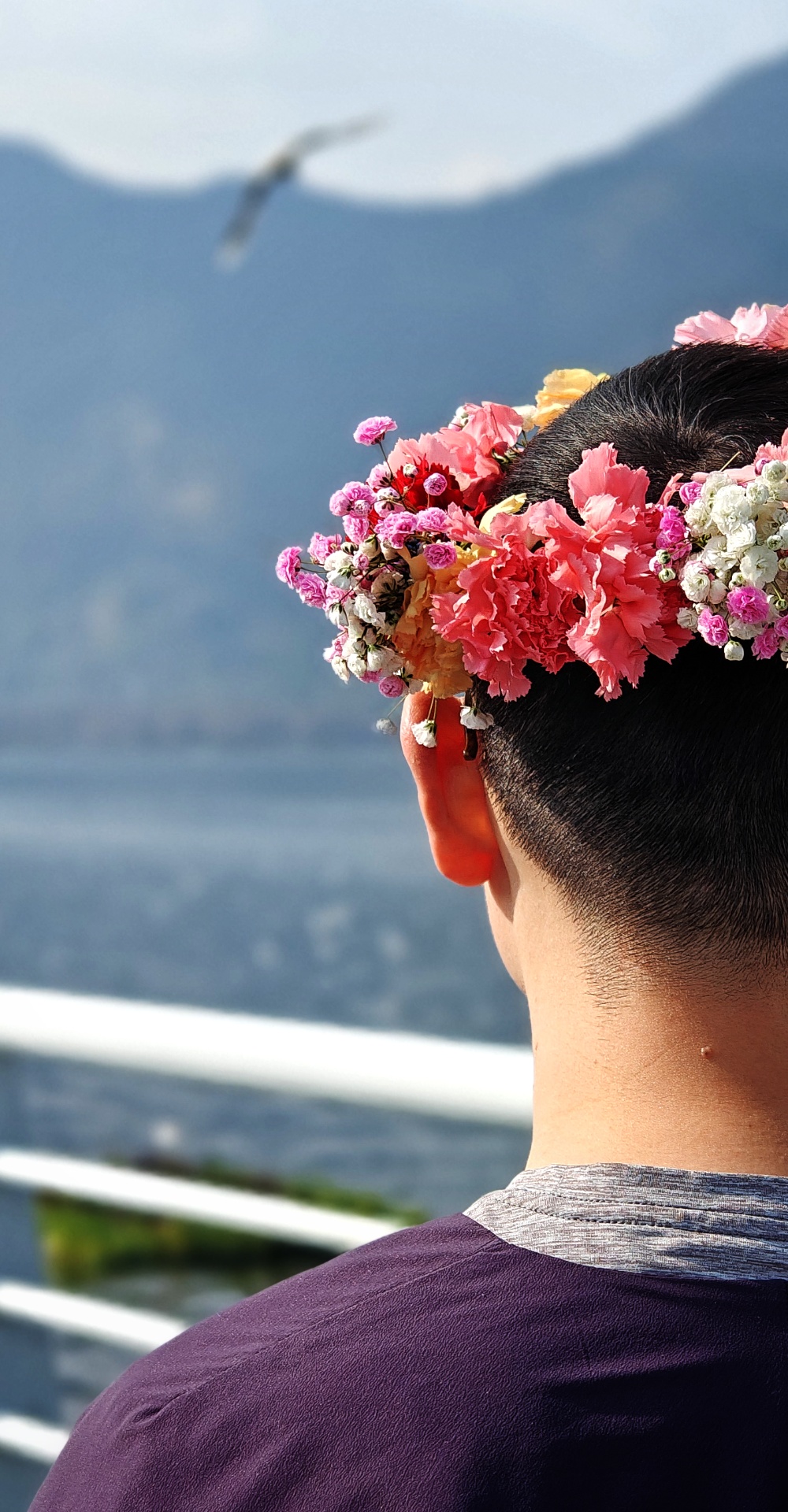 20250213云南的南